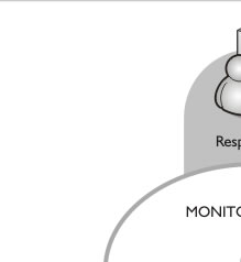 Monitoramento MSN Trevio